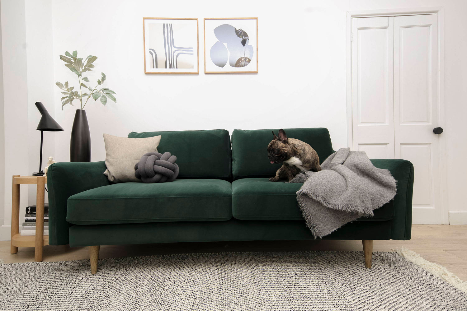  Pet-friendly Sofas? Here's Everything You Need to Know 